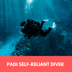 Self-reliant Diver
